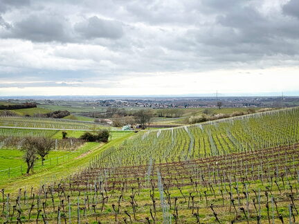 23-03-13 10-32-19 4819